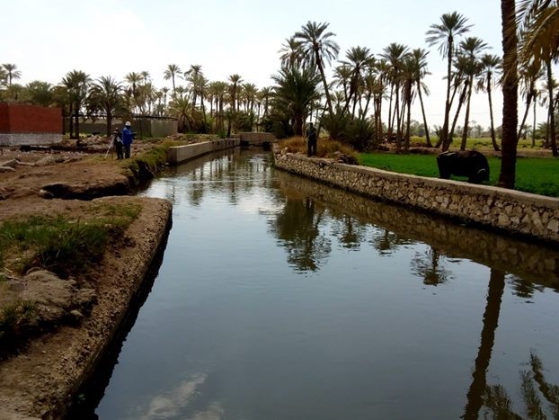 Living Lab in Egypt - Fayoum