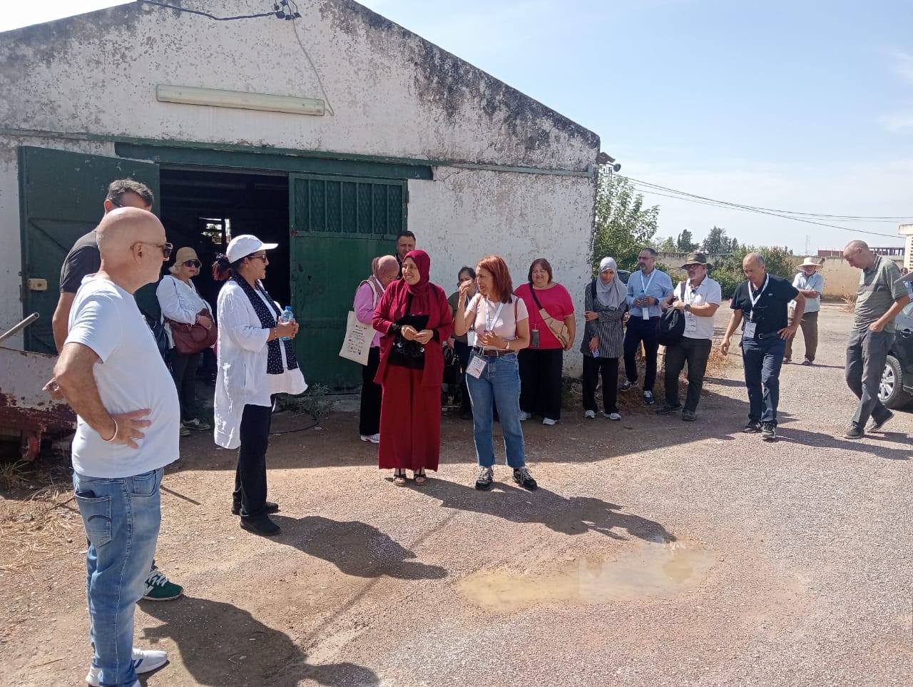 Water well at the Manouba study site, Tunisia